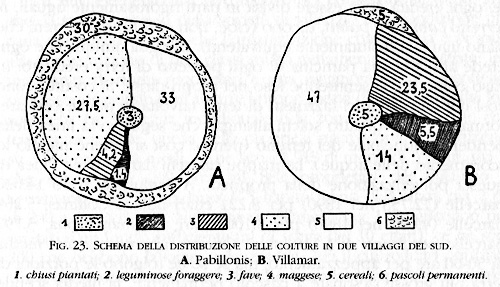 Distribuzione delle colture a Villamar e Pabillonis